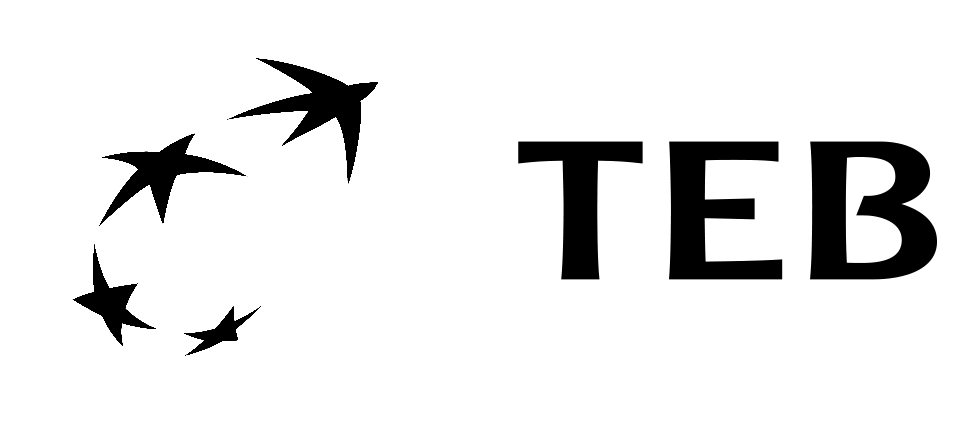 TEB