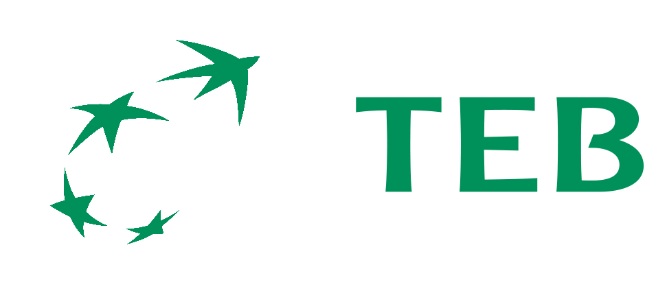 TEB